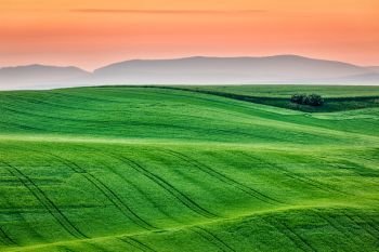 Moravian rolling landscape on sunrise. South Moravia, Czech Republic. Moravia rolling landscape on sunrise
