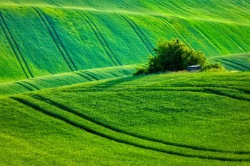 European rural wallpaper - Moravian rolling landscape, Moravia, Czech Republic. Moravian rolling landscape