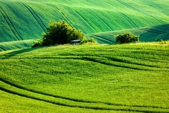 European rural wallpaper - Moravian rolling landscape, Moravia, Czech Republic. Moravian rolling landscape