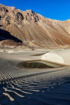 Sand dunes of small desert in Nubra valley in Himalayas. Hunder, Nubra valley, Ladakh. Sand dunes in Himalayas