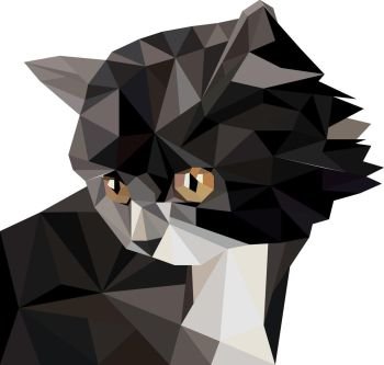 Vector illustration of low poly cat icon. Geometric polygonal cat silhouette. Low poly kitten
