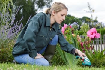 woman trimming around flower beds with handheld tool