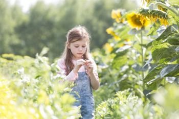 Innocent girl standing by sunflower plants at farm