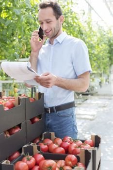 Smiling supervisor talking on smartphone while reading report over tomato crates in greenhouse