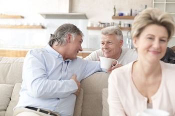 Smiling men talking by woman sitting on sofa at home
