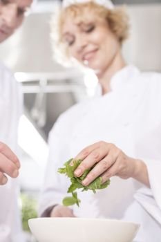 Mature chefs examining fresh mint leaves in bowl at restaurant