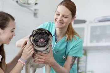 Smiling young veterinary doctor and girl stroking pug at hospital