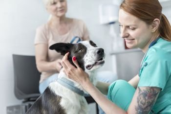 Smiling young veterinary doctor stroking dog at clinic