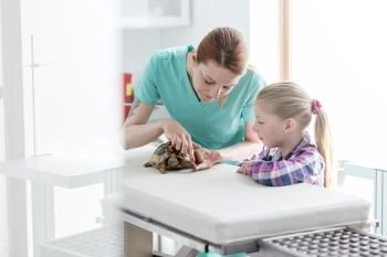 Girl and doctor examining turtle on bed at veterinary clinic
