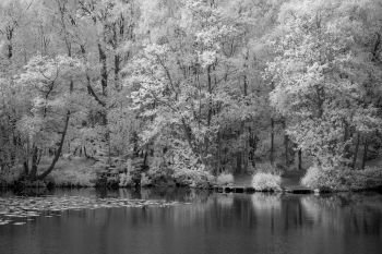 Beautiful black and white infra red Summer landscape of lake and woodland in English countryside