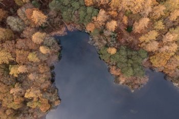 Beautiful aerial drone bird’s eye view landscape image of Derwentwater in Lake District with vibrant Autumn colors