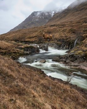 Composite image of red deer stag in Beautiful Winter landscape image of River Etive and Skyfall Etive Waterfalls in Scottish Highlands