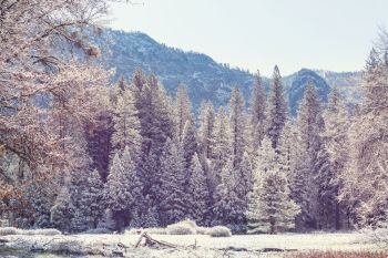 Winter season in Yosemite National Park, California, USA