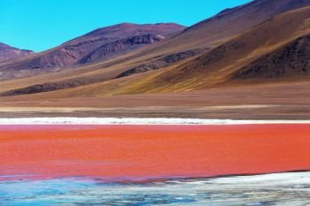 The surreal landscape in South America. Colorful Laguna Colorada  on the plateau Altiplano in Bolivia.