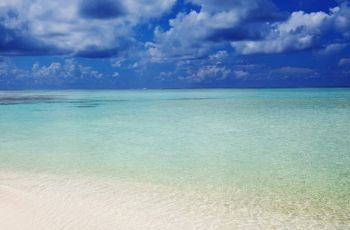 Beautiful Maldives beach. Natural beautiful background.