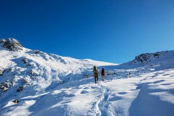 Hikers in the winter mountains