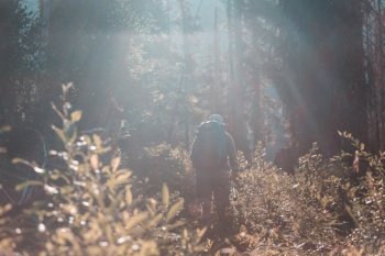 Man in hike in autumn forest