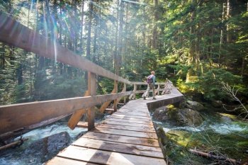 Hiker on the bridge in green  forest