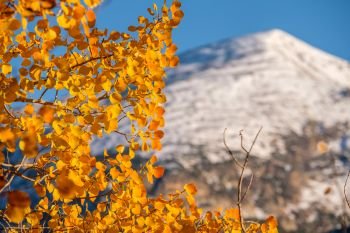 Autumn in Rocky Mountain National Park. Colorado, USA. 