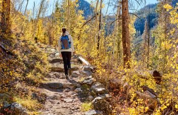 Woman tourist walking on trail in aspen grove at autumn in Rocky Mountain National Park. Colorado, USA. 
