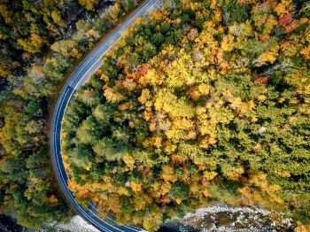 Scenic Mohawk Trail winding highway at autumn, Massachusetts, USA. Fall in New England. Aerial drone shot. 