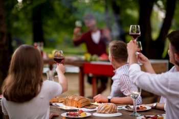 group of happy friends toasting red wine glass while having picnic french dinner party outdoor during summer holiday vacation  near the river at beautiful nature