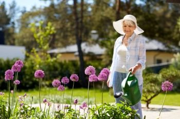 gardening and people concept - happy senior woman watering allium flowers at summer garden. senior woman watering allium flowers at garden