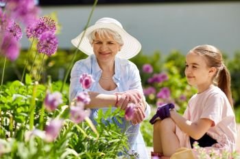 gardening, family and people concept - happy grandmother and granddaughter looking at flowers at summer garden. grandmother and girl with flowers at summer garden