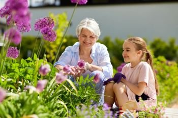 gardening, family and people concept - happy grandmother and granddaughter with flowers at summer garden. grandmother and girl with flowers at summer garden