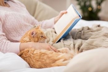 pets, hygge and people concept - close up of red tabby cat and female owner reading book in bed at home. red cat and female owner reading book at home