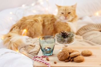 hygge and christmas concept - oatmeal cookies, candle in holder, fir twig decoration and cat in bed. oatmeal cookies, candle, fir twig and cat in bed