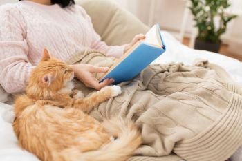 hygge, literature and people concept - red tabby cat and female owner reading book in bed at home. red cat and female owner reading book at home