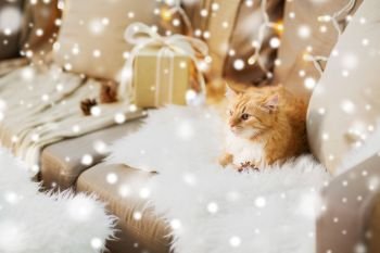 pets, christmas and hygge concept - red tabby cat on sofa with present at home over snow. red tabby cat on sofa with christmas gift at home
