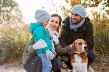 family, pets and people concept - happy mother, father and little daughter with beagle dog outdoors in autumn. happy family with beagle dog outdoors in autumn