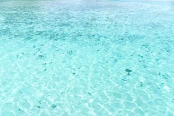 seascape and nature concept - turquoise sea water of tropical lagoon. turquoise sea water of tropical lagoon