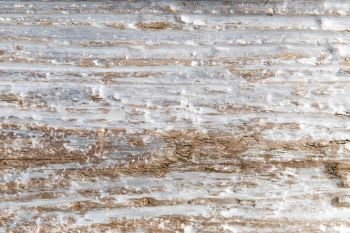 background and texture concept - tree bark or wooden surface. tree bark or wooden surface background