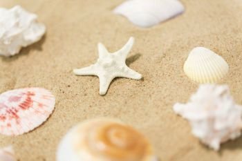 vacation and summer holidays concept - starfish and seashells on beach sand. starfish and seashells on beach sand