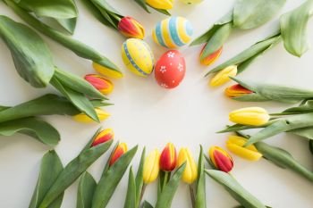 easter, holidays, tradition and object concept - close up of colored easter eggs and tulip flowers on white background. close up of colored easter eggs and tulip flowers