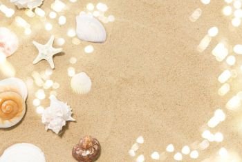 vacation and summer holidays concept - seashells on beach sand. seashells on beach sand