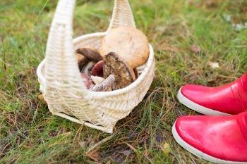 season, nature and leisure concept - basket of mushrooms and feet in rubber boots in forest. basket of mushrooms and feet in gumboots in forest