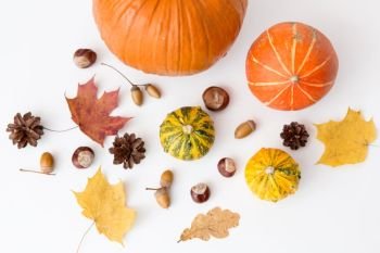 nature, season and botany concept - different dry fallen autumn leaves, chestnuts, acorns and pumpkins on white background. autumn leaves, chestnuts, acorns and pumpkins