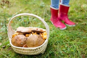 season, nature and leisure concept - basket of mushrooms and feet in rubber boots in forest. basket of mushrooms and feet in gumboots in forest