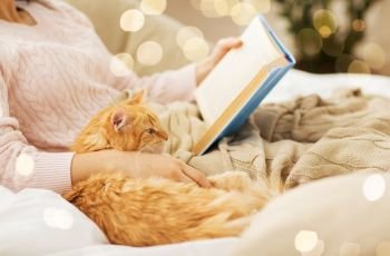 pets, hygge and people concept - close up of red tabby cat and female owner reading book in bed at home. red cat and female owner reading book at home
