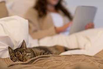 pet and domestic animal concept - cat sleeping in bed with woman using tablet pc computer at home bedroom. tabby cat sleeping in bed with woman at home