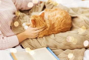 pets, hygge and people concept - close up of female owner stroking red tabby cat in bed at home. close up of owner stroking red cat in bed at home