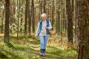 picking season, leisure and people concept - senior woman with basket walking in autumn forest. senior woman picking mushrooms in autumn forest