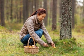 picking season, leisure and people concept - young asian woman with basket and knife cutting chanterelle mushroom in autumn forest. young woman picking mushrooms in autumn forest