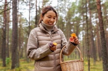 picking season, leisure and people concept - young asian woman with basket and chanterelle mushrooms in autumn forest. young woman picking mushrooms in autumn forest