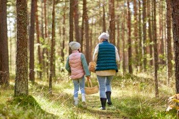 mushroom picking season, leisure and people concept - grandmother and granddaughter with baskets walking in forest. grandmother and granddaughter picking mushrooms