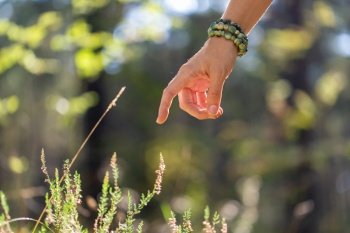 nature, spirituality and supernatural concept - close up of hand with bracelet pointing finger to heather shrub in forest. close up of hand with bracelet in forest